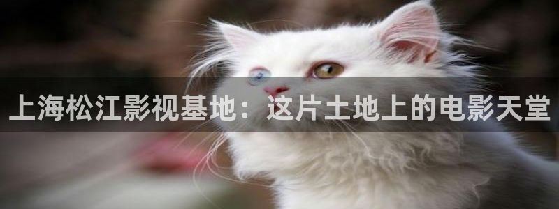 余生请多指教策驰影院：上海松江影视基地：这片土地上的电影天堂